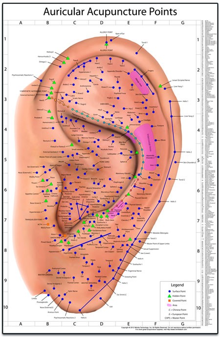 Auricular Therapy acupuncture Points