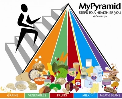 the new food pyramid