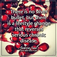 Food Matters quote "There is no silver bullet, but there is a lifestyle change that reverses serious chronic disease."