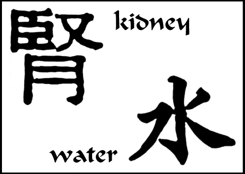 chinese character for kidney and water