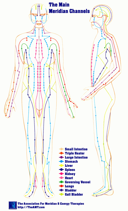 the main meridian channels