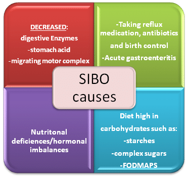 causes of SIBO chart helps with treating SIBO holistically