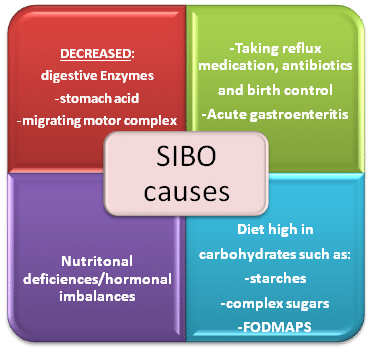 Sibo Diet Chart