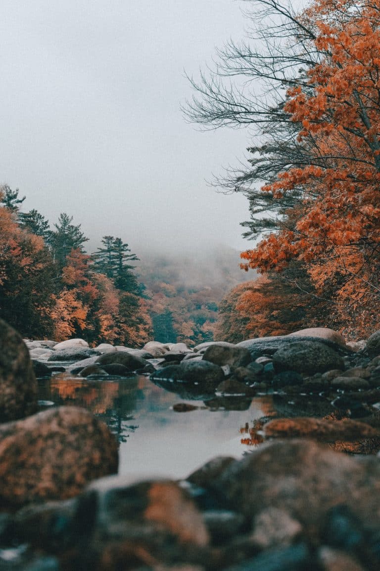 Autumn by the River