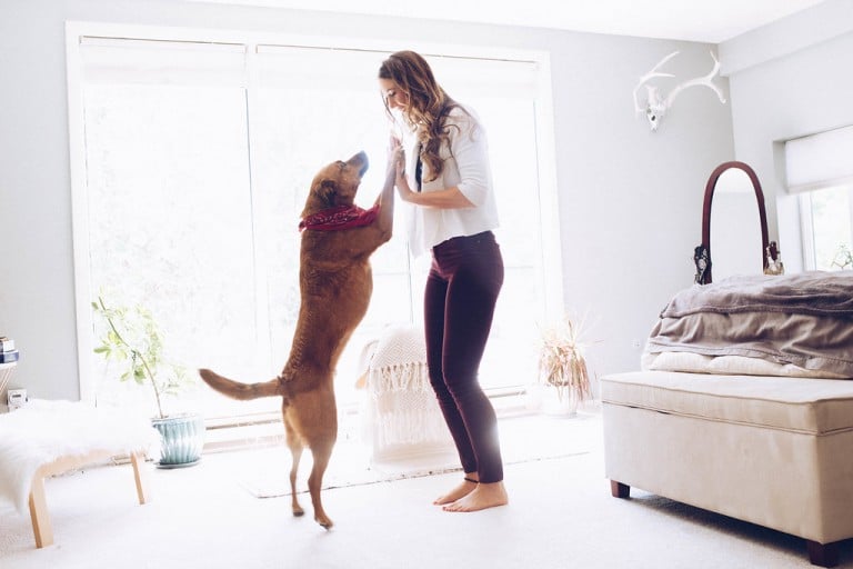 Pets as Mirrors: Your dog knows you’re stressed before you do