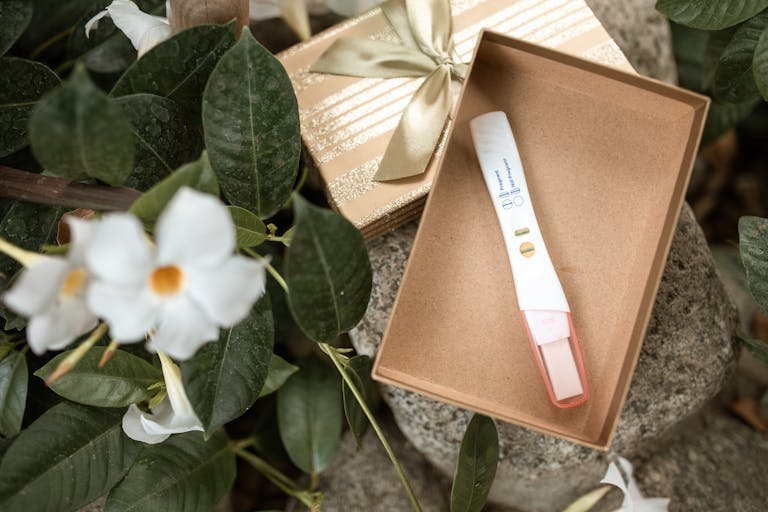 Pregnancy test placed in an open gift box surrounded by green leaves and white flowers.
